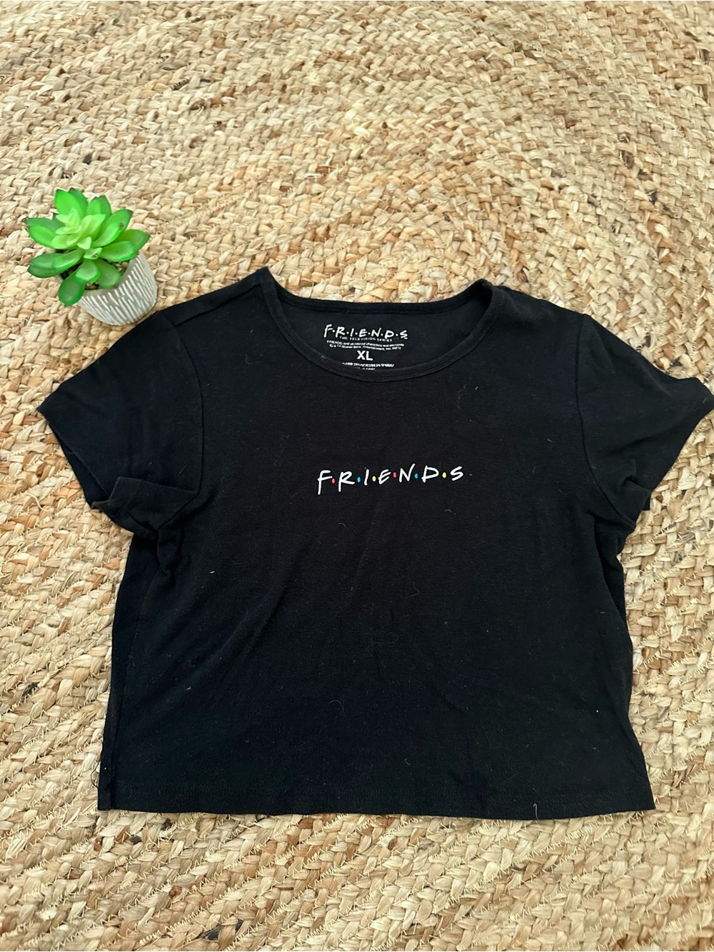 FRIENDS CROP TOP